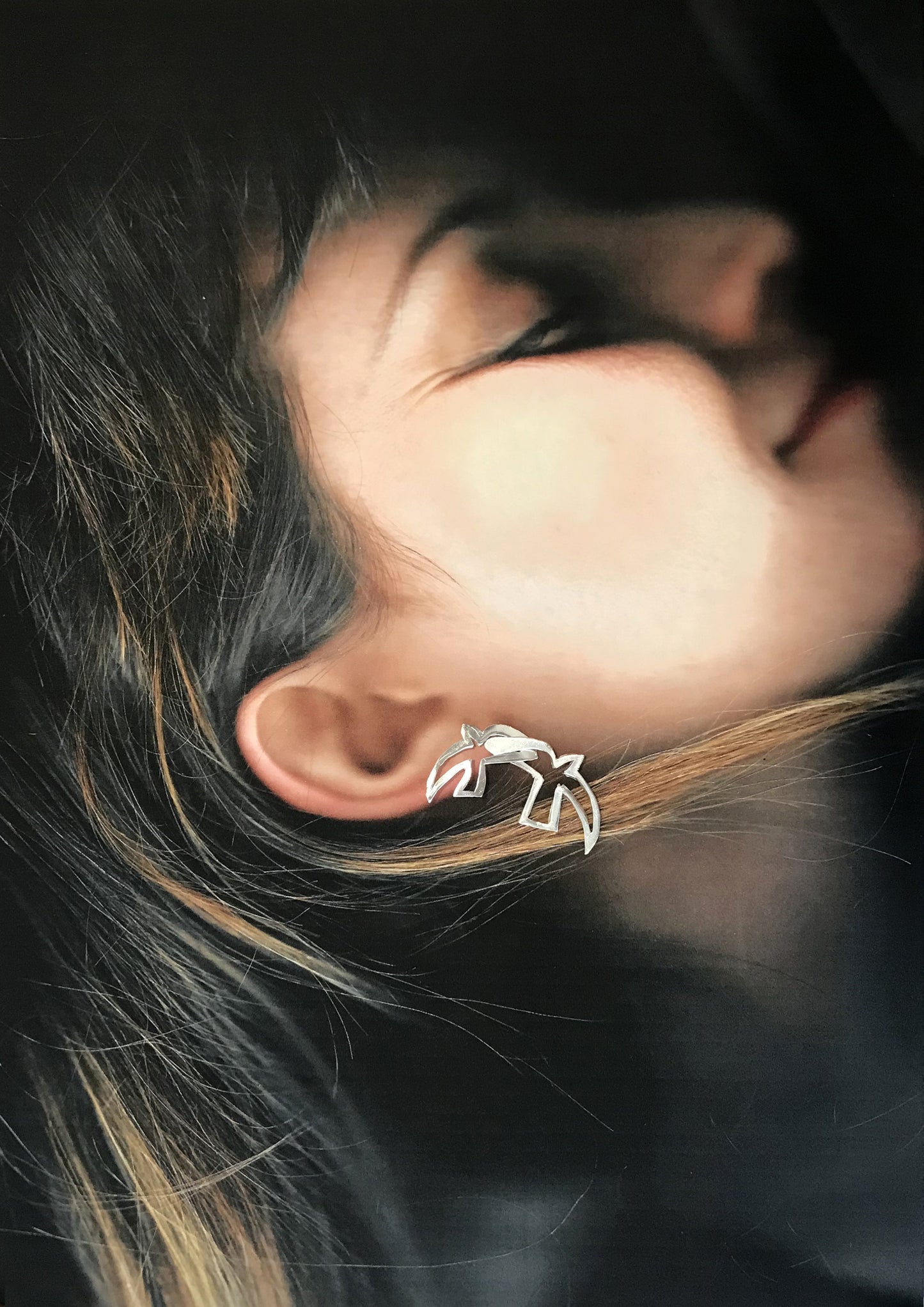 Boucles d'oreilles Birds AR