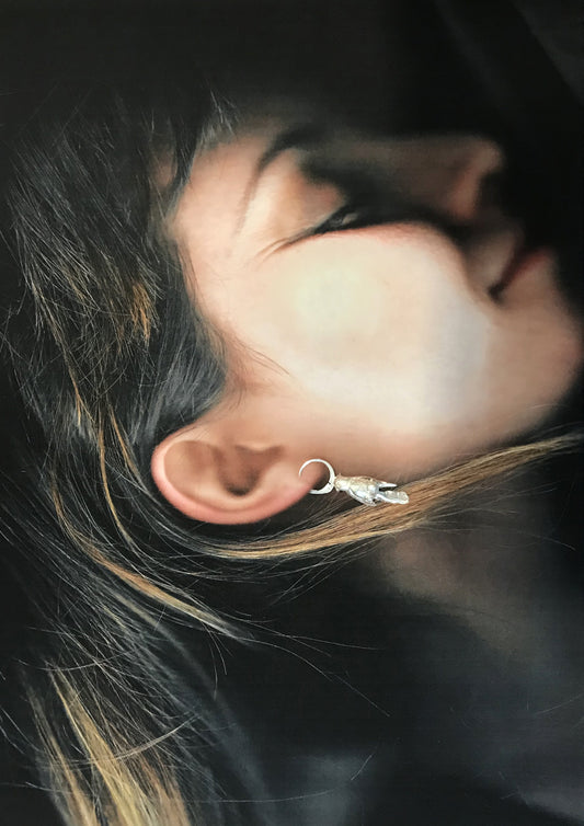 Boucles d'oreilles Bird AR